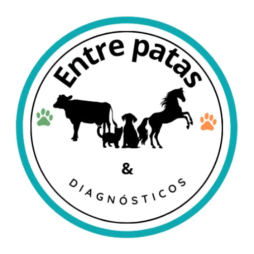 Entre patas & diagnósticos